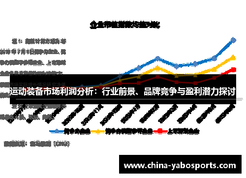 运动装备市场利润分析：行业前景、品牌竞争与盈利潜力探讨